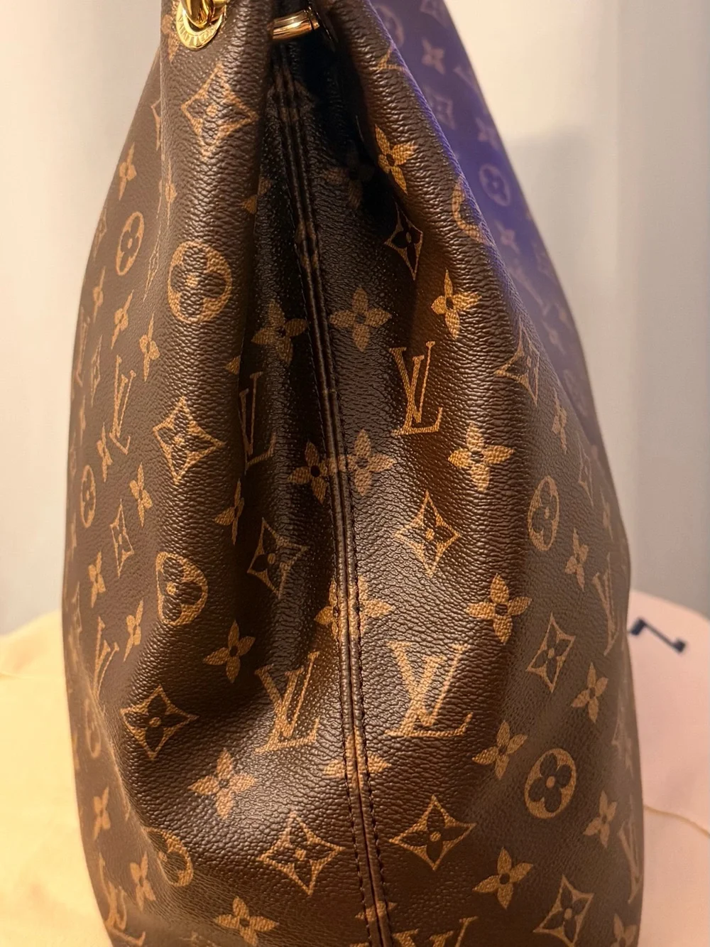 Louis Vuitton Monogram Canvas Shoulder Hobo in Brown and Tan